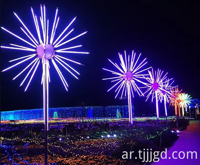 Firework LED Lights Outdoor